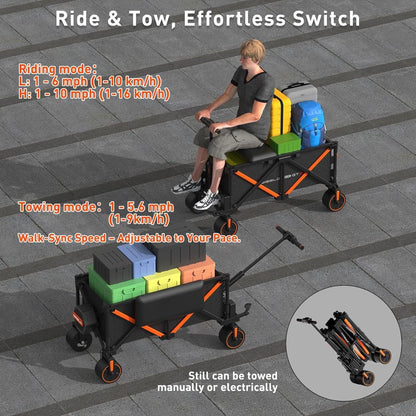 Electric Wagon Cart with Seat